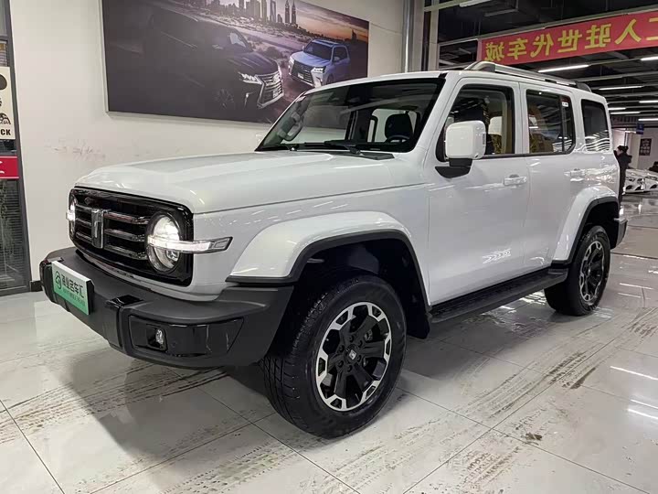 Tank 300 Hybrid 2025 2025款 Hi4-T 37.1kWh