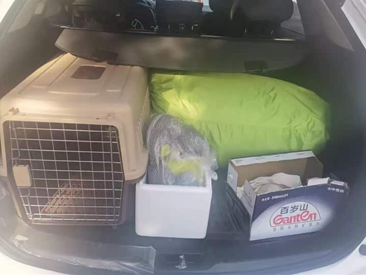 Mazda CX-5 2024 2024款 2.0L 自动两驱舒适型