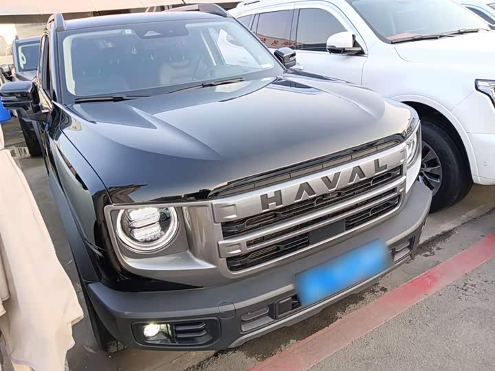 Haval Dargo 2024 2024款 1.5T DCT边牧版