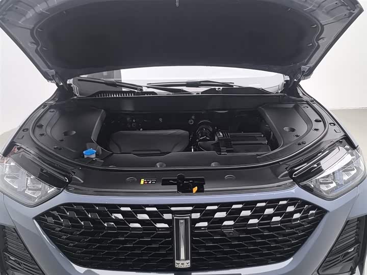 Wey Latte DHT 2022 2022款 1.5T DHT大杯