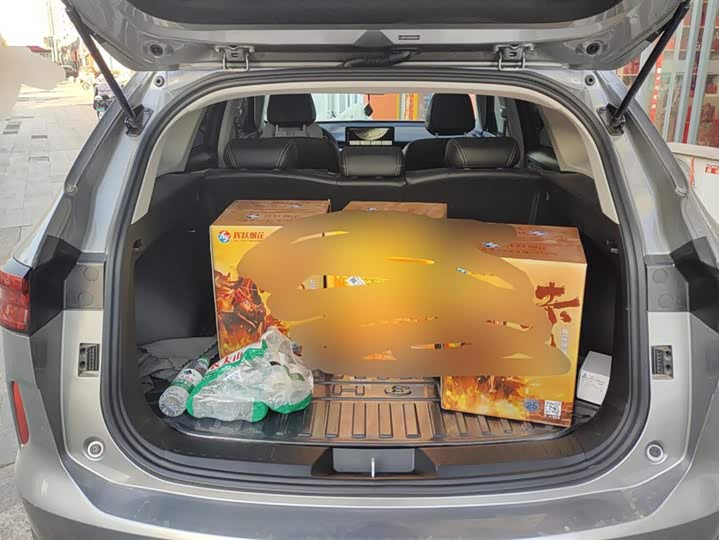 Haval H6 2024 2024款 1.5T 两驱经典版