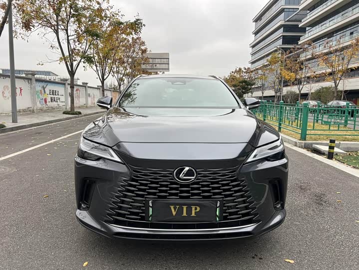 Lexus RX Hybrid 2023 2023款 450h+ 四驱畅享版