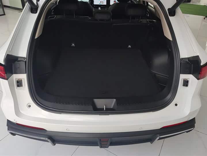 Haval Ruge Max 2023 2023款 1.5L Hi4 105 四驱领航版