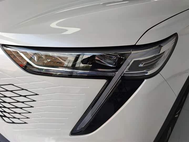 Haval Ruge Max 2023 2023款 1.5L Hi4 105 四驱领航版