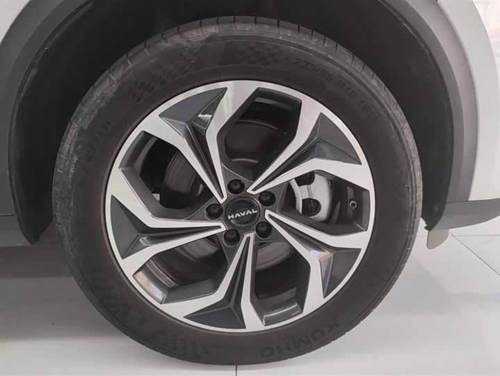 Haval Ruge Max 2023 2023款 1.5L Hi4 105 四驱领航版