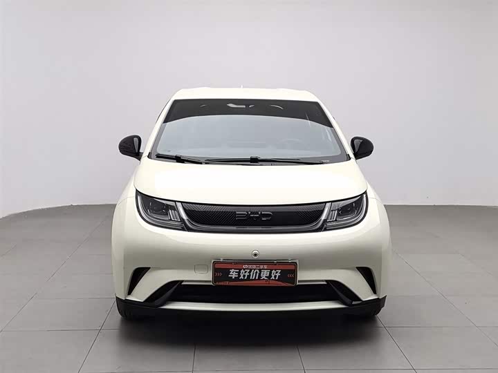 BYD Dolphin 2025 2025款 420km 自由版