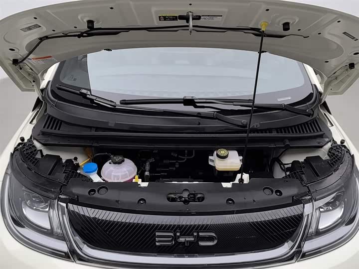 BYD Dolphin 2025 2025款 420km 自由版