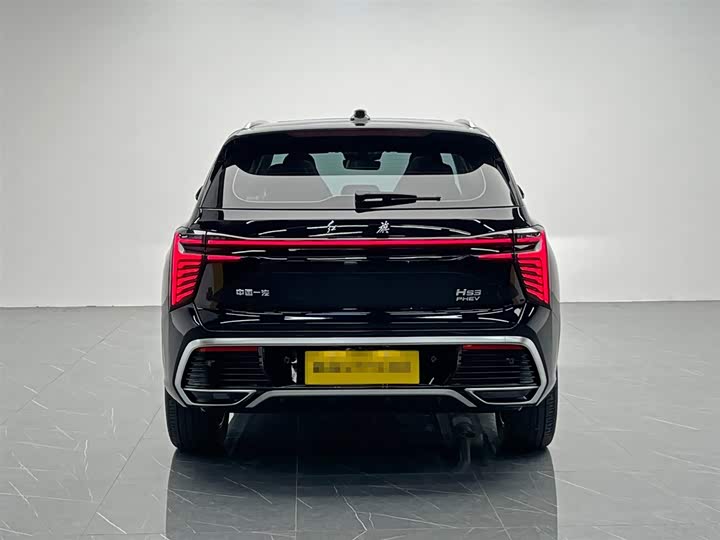 Hongqi HS3 Hybrid 2024 2024款 115km 劲为版