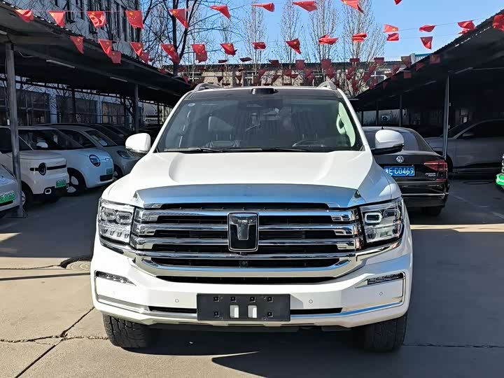 Tank 500 Hybrid 2026 2026款 Hi4-T 智享版