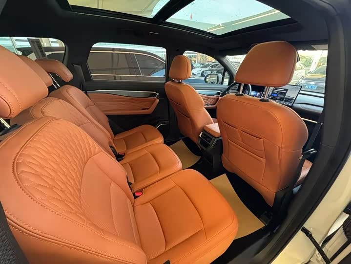 Geely Okavango L 2024 2024款 2.0T DCT旗舰型