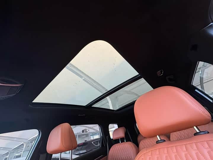 Geely Okavango L 2024 2024款 2.0T DCT旗舰型