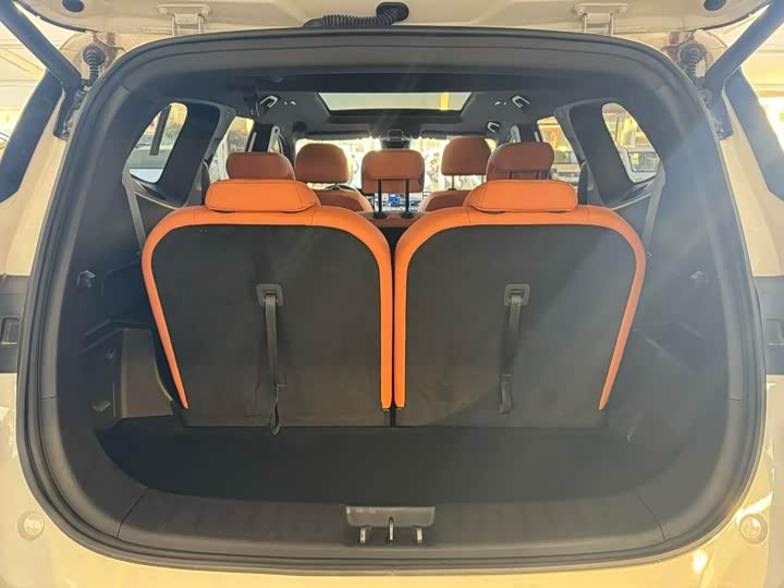 Geely Okavango L 2024 2024款 2.0T DCT旗舰型