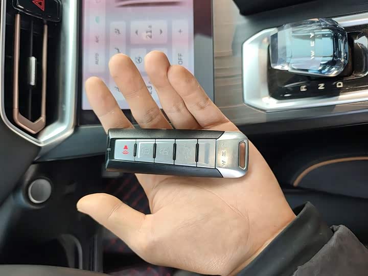 Wey Latte DHT 2022 2022款 1.5T DHT超大杯