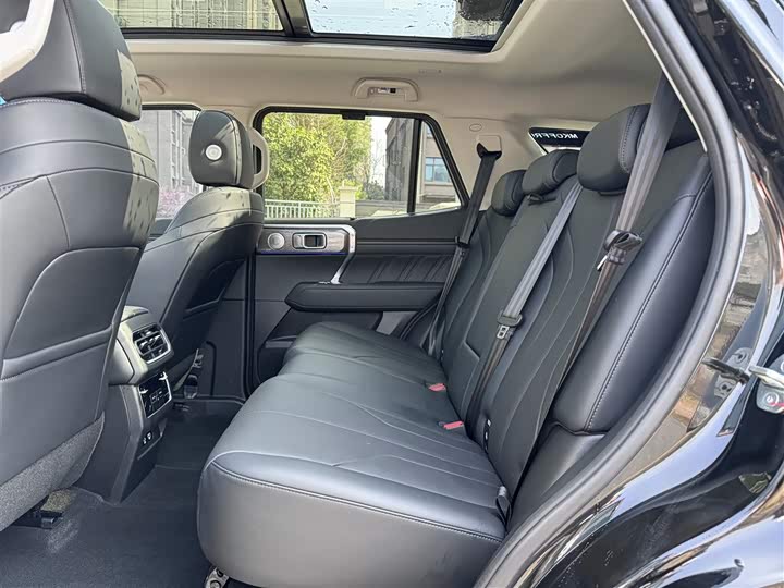 Tank 400 Hybrid 2024 2024款 Hi4-T 越野版