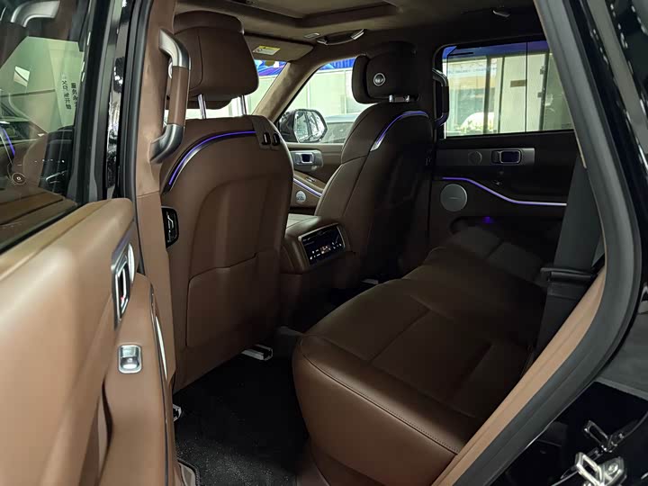 Tank 700 Hybrid 2024 2024款 Hi4-T 极境版