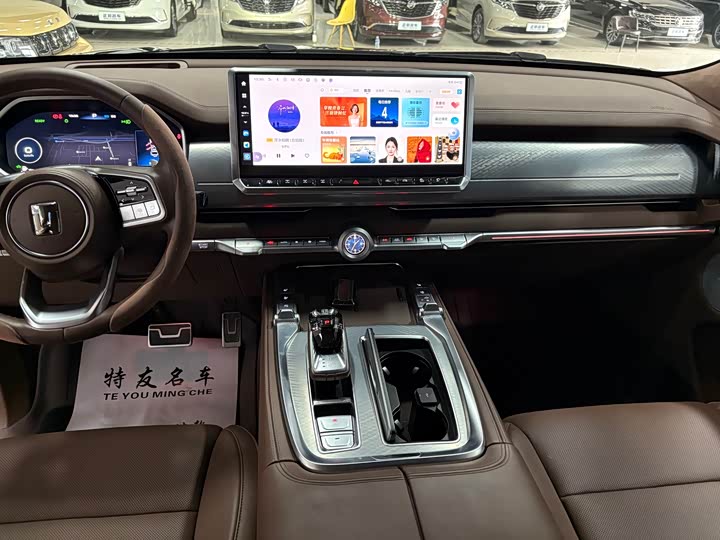 Tank 700 Hybrid 2024 2024款 Hi4-T 极境版