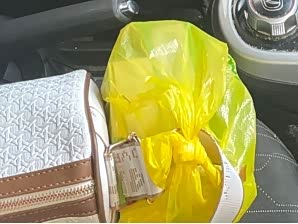 Changan BenBen E-Star 2021 2021款 国民版 心悦版（快充版）磷酸铁锂（31.18kWh）