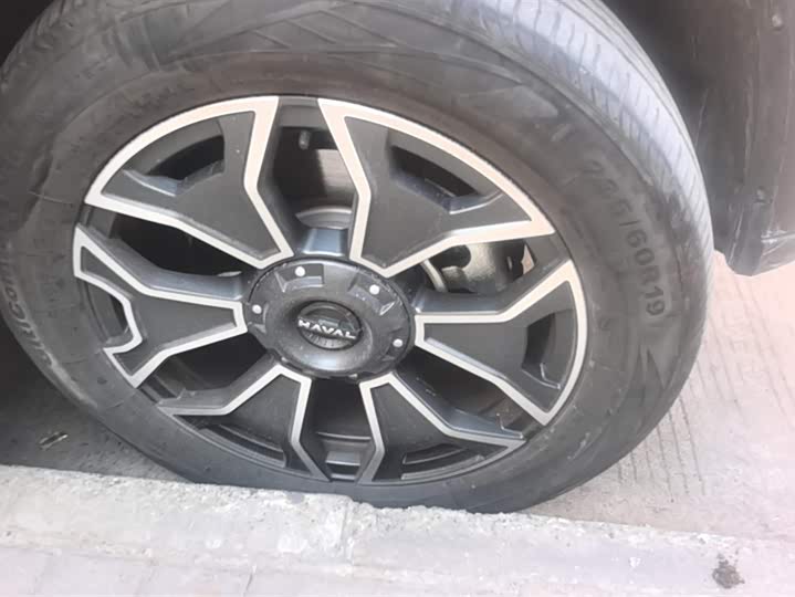 Haval H-Dog Hybrid 2023 2023款 DHT-PHEV 105km 潮电版Plus