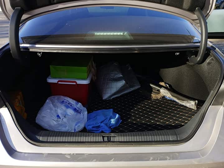 Toyota Avalon 2024 2024款 双擎 2.0L 豪华版