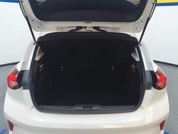 Ford Focus 2022 2022款 两厢 EcoBoost 180 自动竞速版