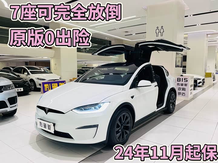 Tesla Model X 2023 2023款 双电机全轮驱动版