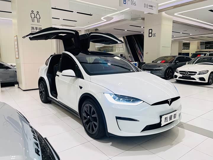Tesla Model X 2023 2023款 双电机全轮驱动版