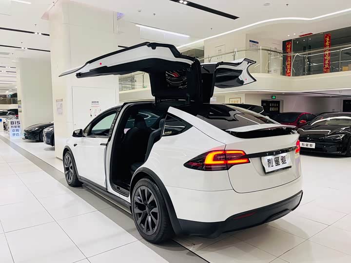 Tesla Model X 2023 2023款 双电机全轮驱动版