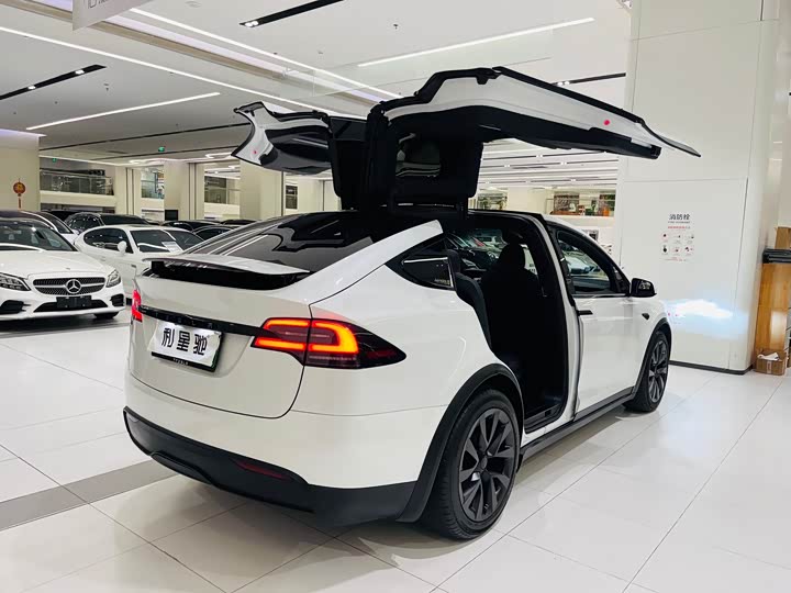 Tesla Model X 2023 2023款 双电机全轮驱动版