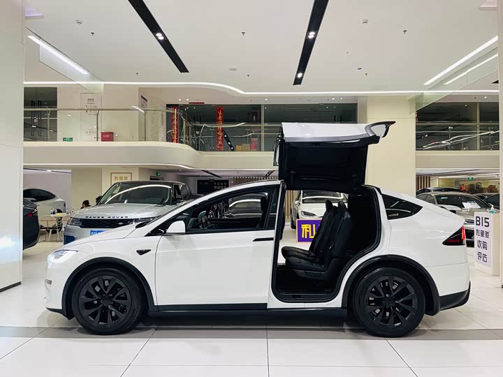Tesla Model X 2023 2023款 双电机全轮驱动版