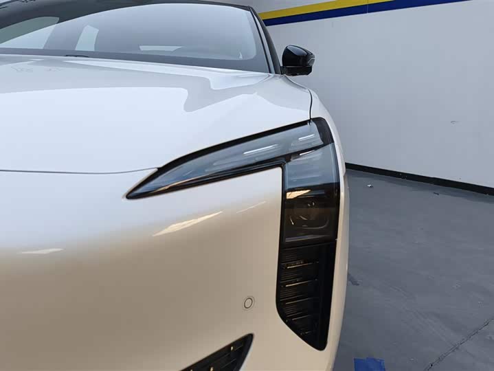 Hongqi EH7 2024 2024款 690 Pro