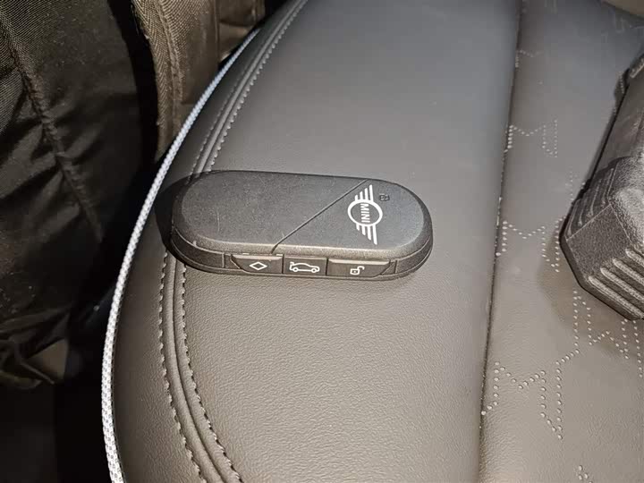 Mini Cooper 2024 2024款 452km COOPER SE 艺术家