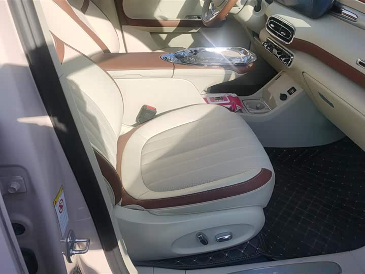 Ora Ballet Cat 2023 2023款 401km 尊贵型