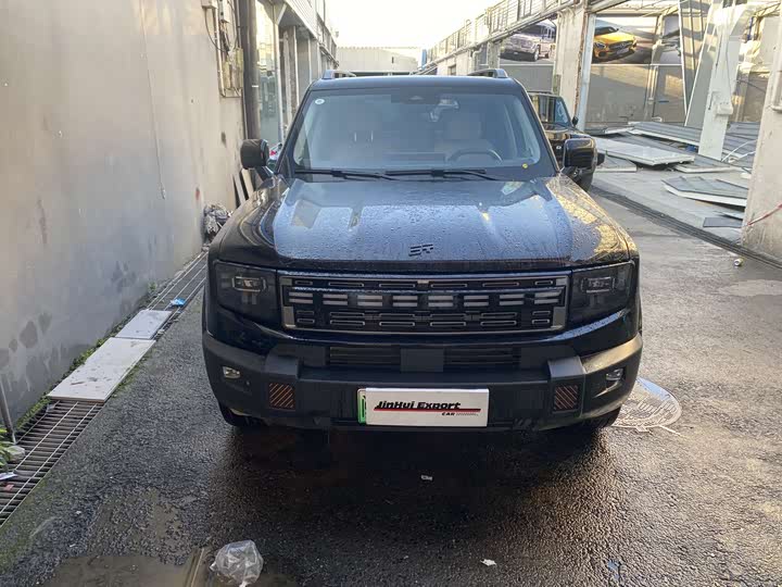 Jetour Shanhai T1 2024 2024款 150km 向海