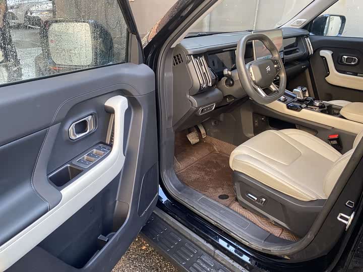 Jetour Shanhai T1 2024 2024款 150km 向海