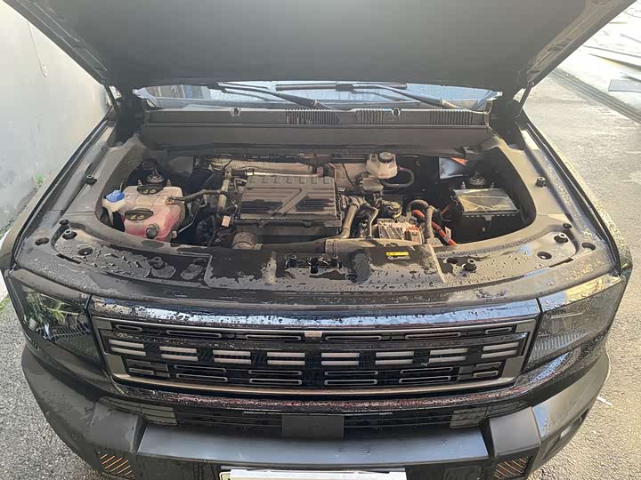 Jetour Shanhai T1 2024 2024款 150km 向海