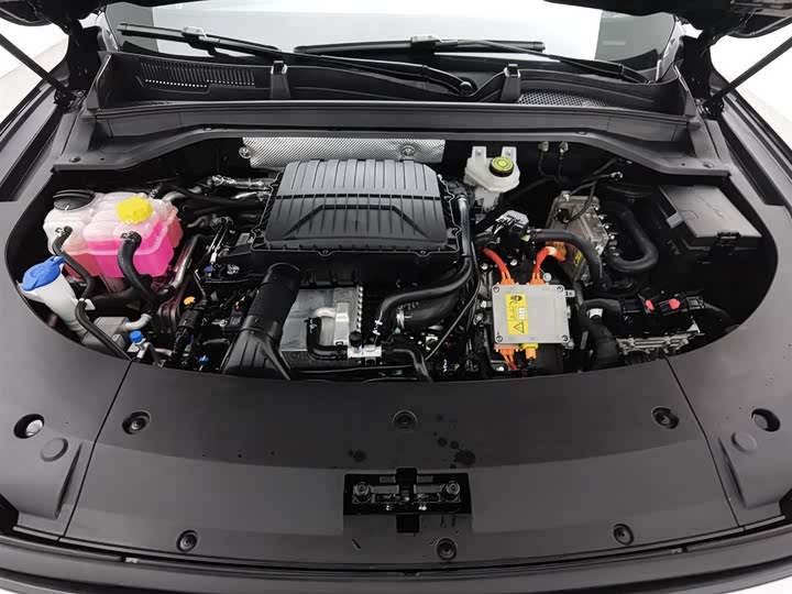 Exeed RX C-DM Hybrid 2025 2025款 100长续航Pro两驱