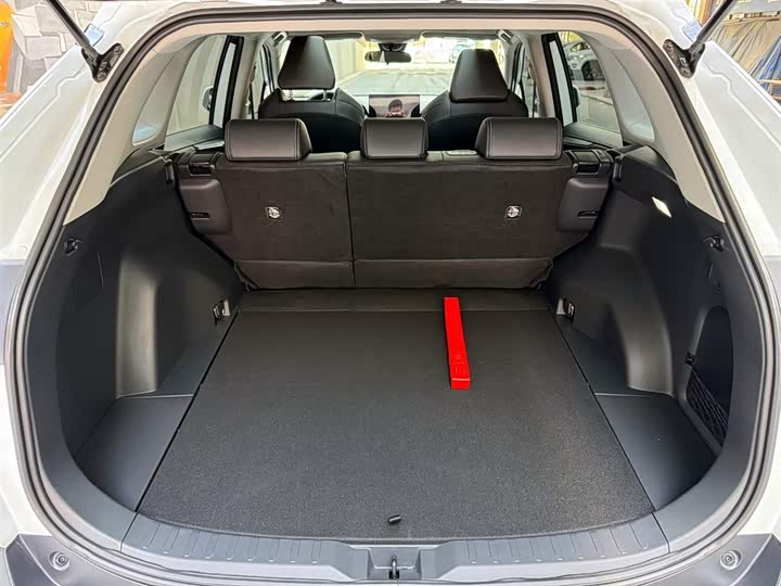 Toyota Wildlander 2023 2023款 2.0L CVT两驱豪华PLUS版