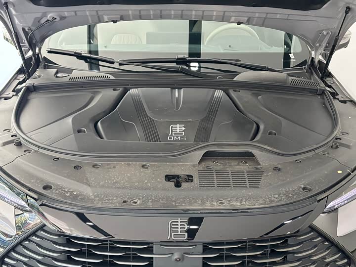 2025 BYD Tang Hybrid/EV