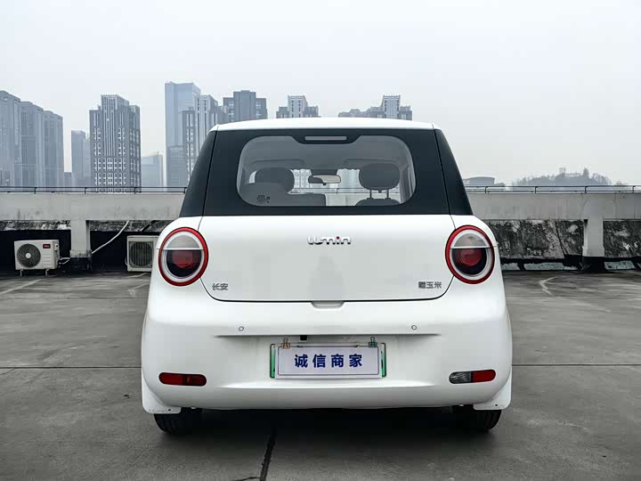Changan Qiyuan (Nevo) Lumin 2025 2025款 205km 香沁款