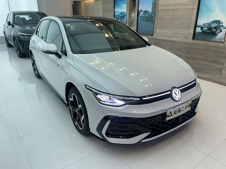 Volkswagen Golf 2025 2025款 300TSI R-Line