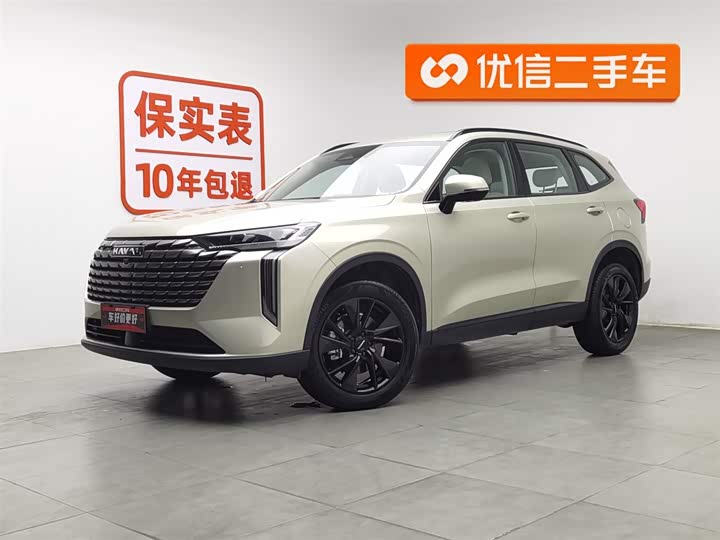 Haval H6 2024 2024款 2.0T 四驱Max