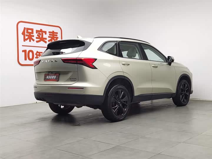 Haval H6 2024 2024款 2.0T 四驱Max