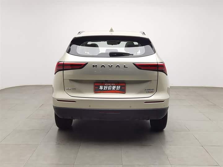 Haval H6 2024 2024款 2.0T 四驱Max