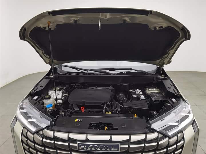 Haval H6 2024 2024款 2.0T 四驱Max