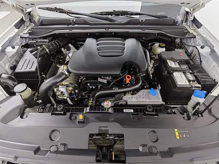 Great Wall King Kong Poer 2023 2023款 2.0T手动柴油两驱精英型长箱GW4D20M