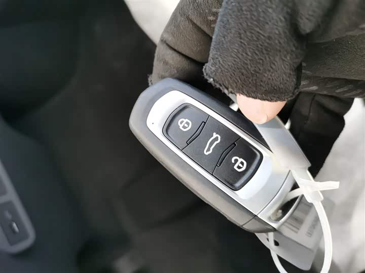 Geely Galaxy Panda Mini 2025 2025款 熊猫mini 210km 元气熊