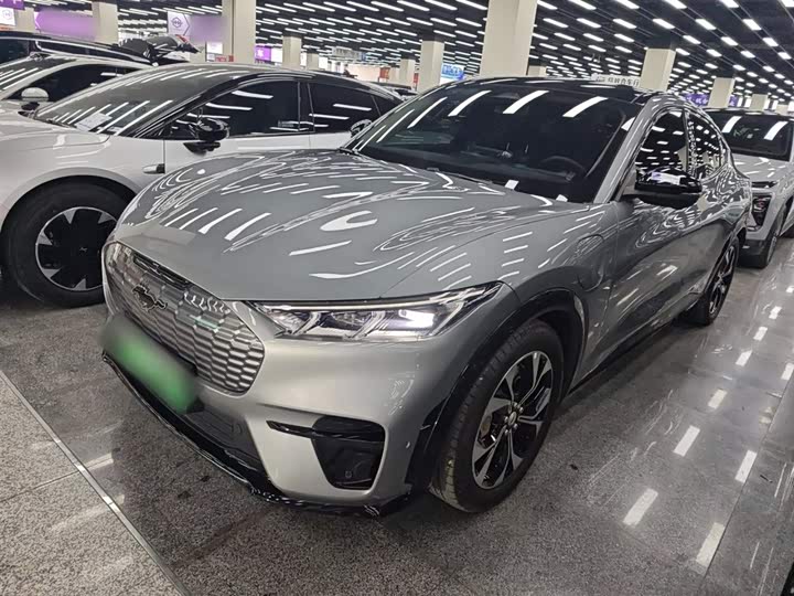 Ford Mustang Mach-E 2021 2021款 无疆后驱豪华版(长续航)