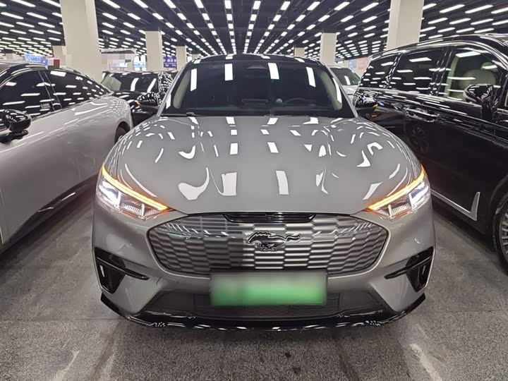 Ford Mustang Mach-E 2021 2021款 无疆后驱豪华版(长续航)