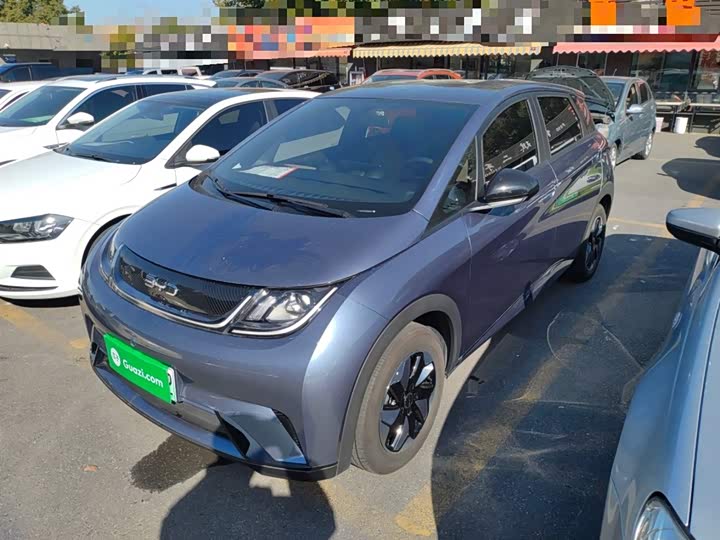 BYD Dolphin 2025 2025款 420km 自由版
