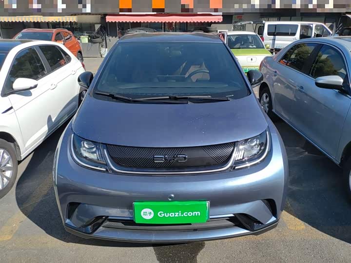 BYD Dolphin 2025 2025款 420km 自由版